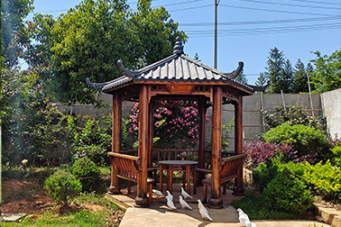 老年人心理健康