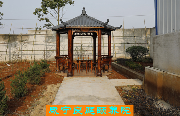 活动广场2